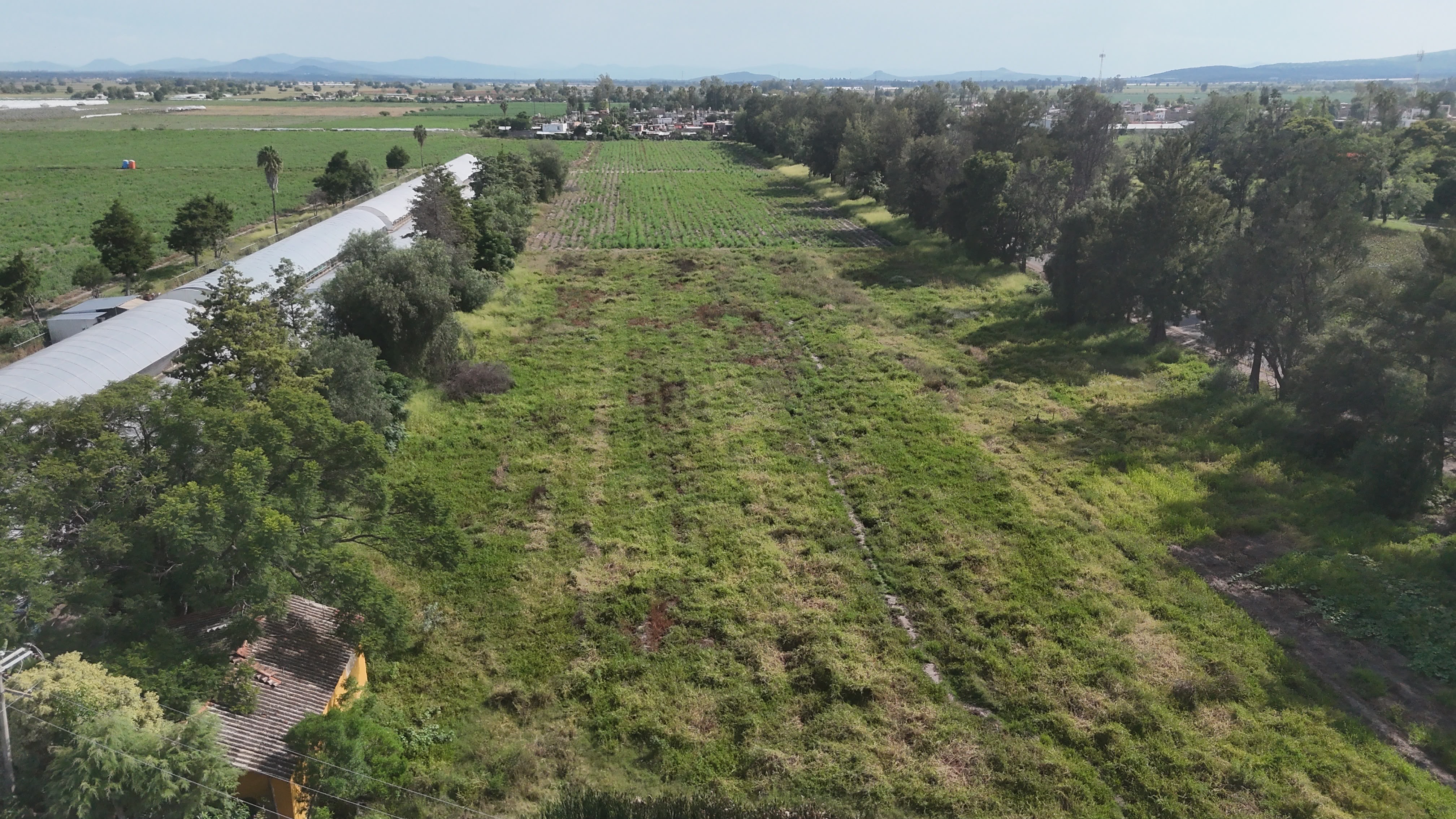 Santa Teresa Farms